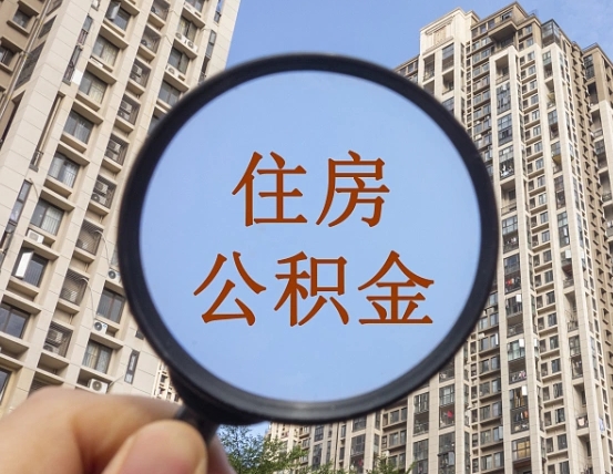 深圳退休后查不到公积金明细了吗（退休后公积金查询不到原因）